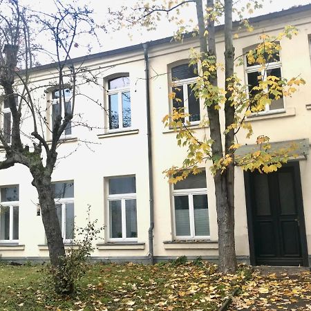 Wohlfuehl-Oase Mitten In Der Stadt - Garten, Grill, Netflix Und Drucker Leipzig Buitenkant foto